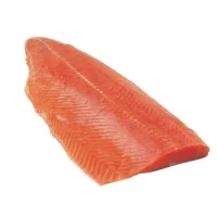 Salmon_GH_500x_e6338418-d512-4a7b-900a-226b6d3d7984.webp